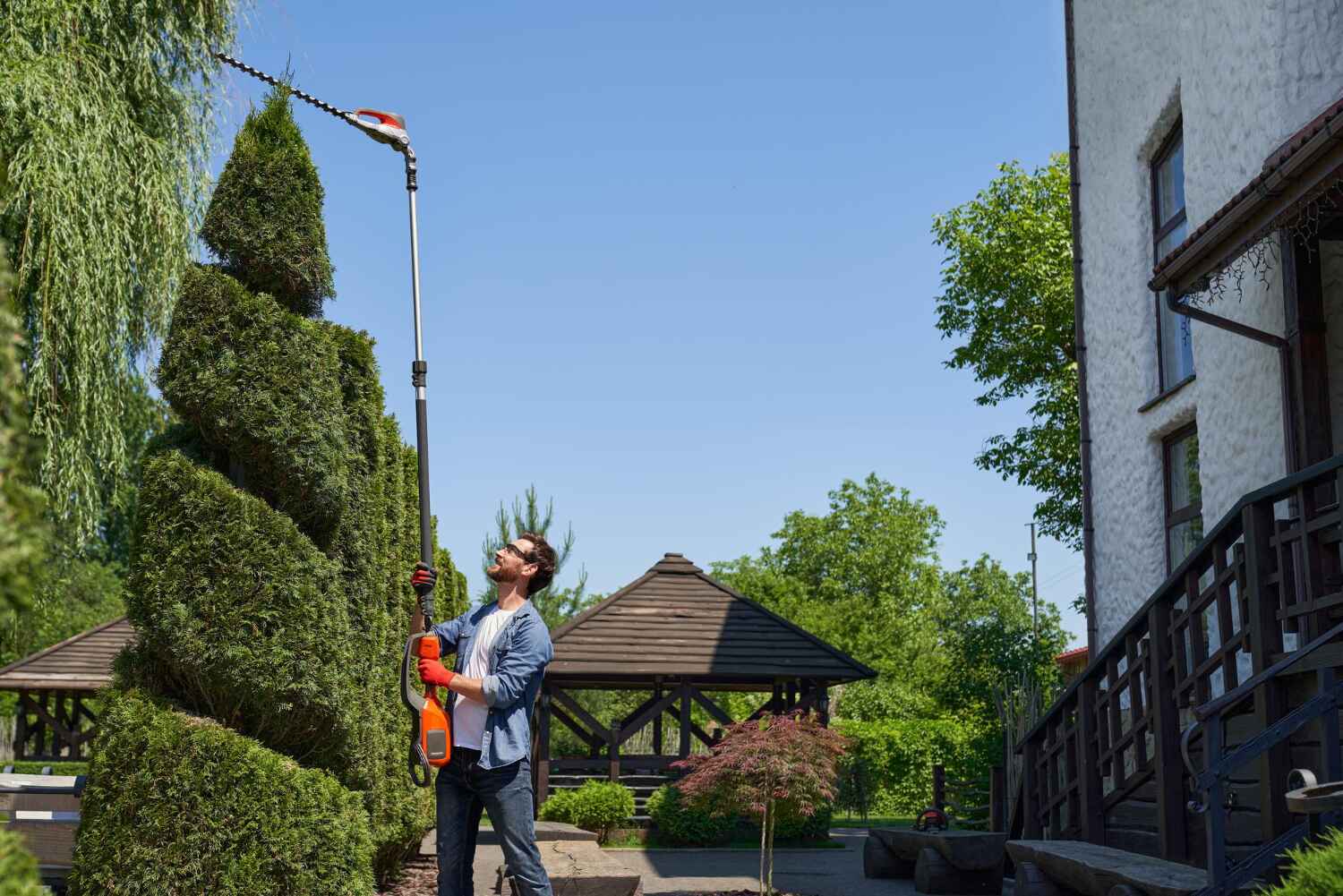 Best Commercial Tree Services  in Mosheim, TN